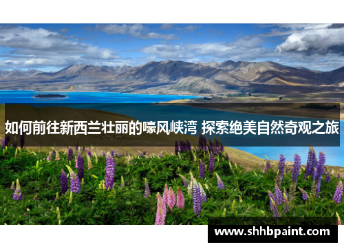 如何前往新西兰壮丽的嚎风峡湾 探索绝美自然奇观之旅